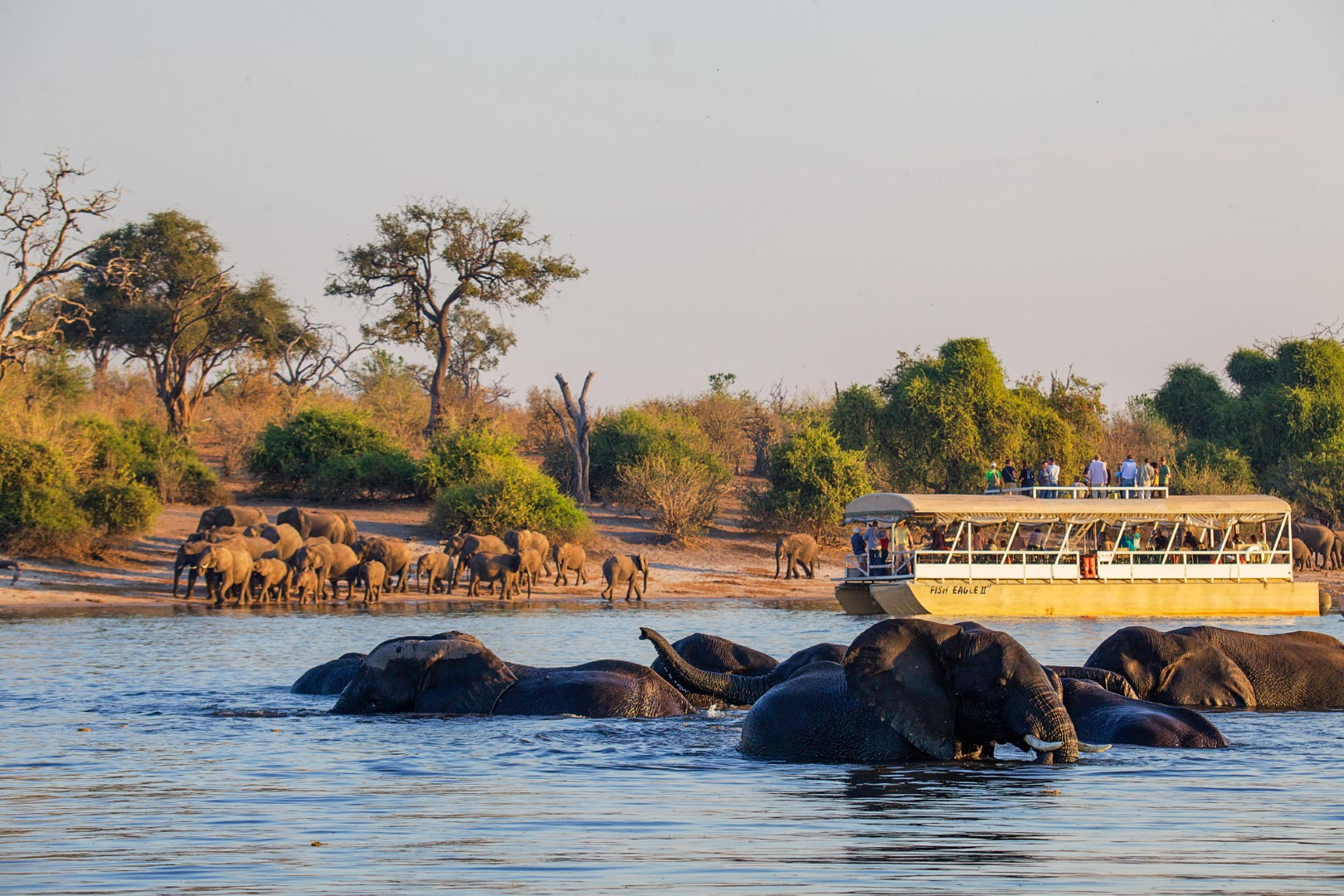 Chobe Safari Lodge - Image 24
