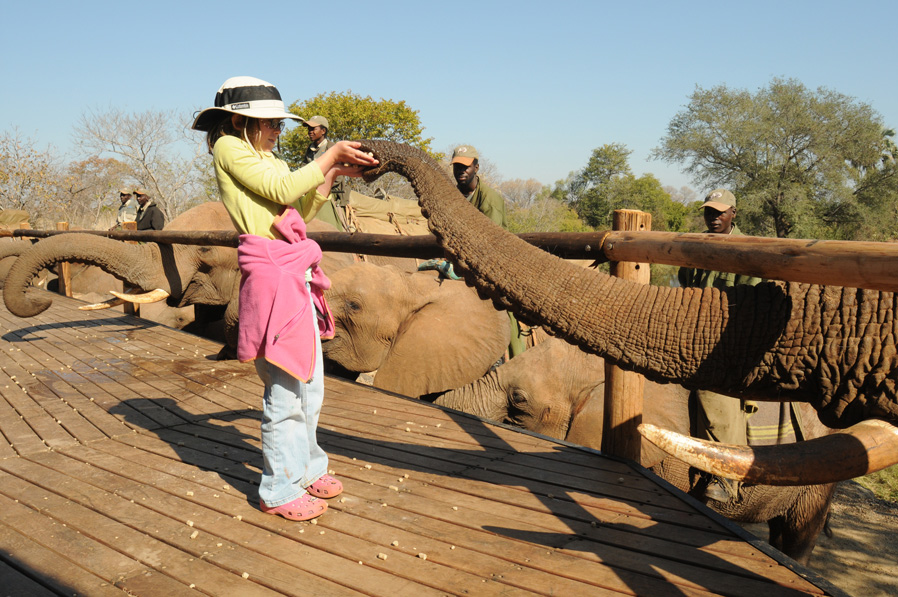 The Victoria Falls Hotel - Image 32