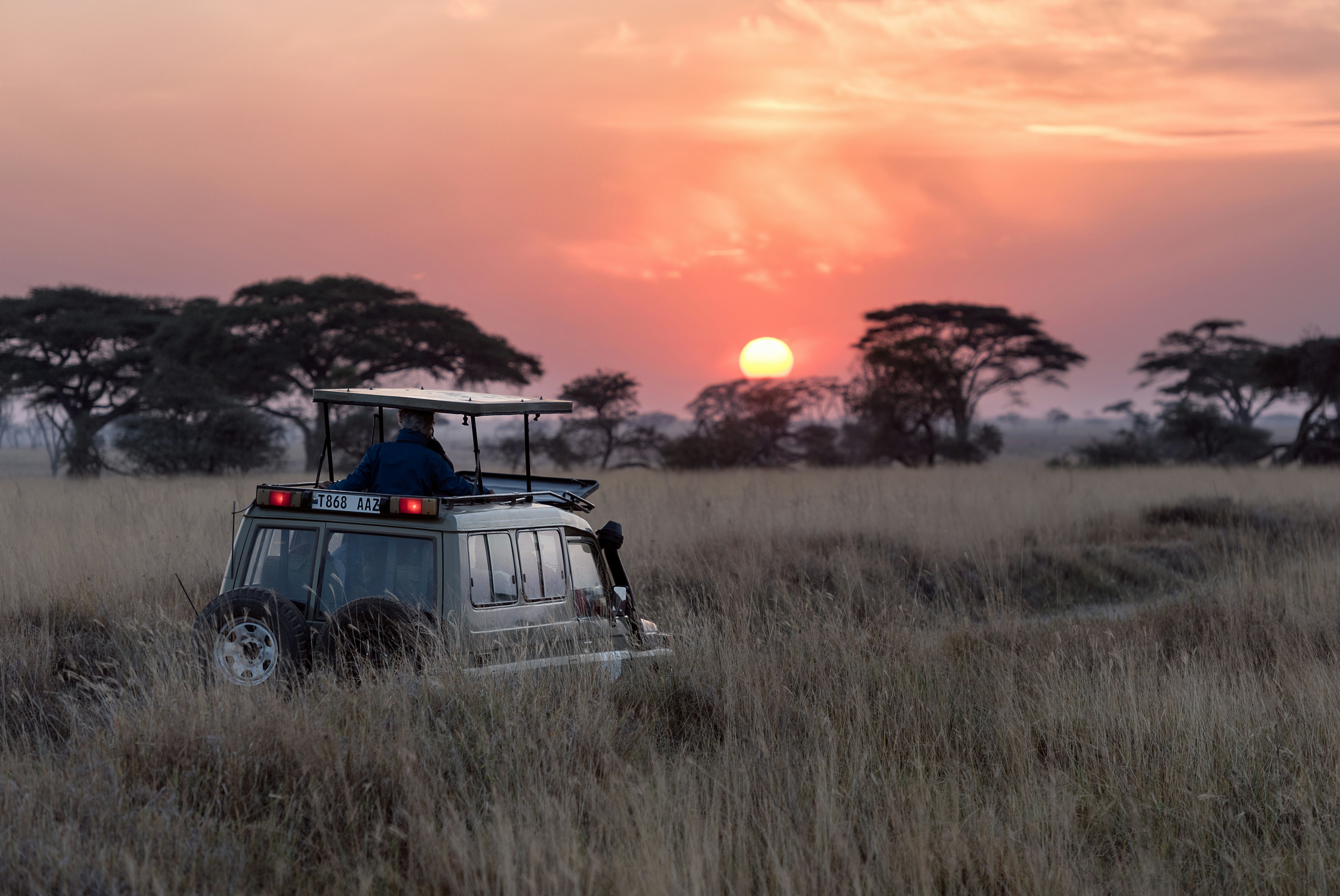 Cape Town, Garden Route & Safari Tour