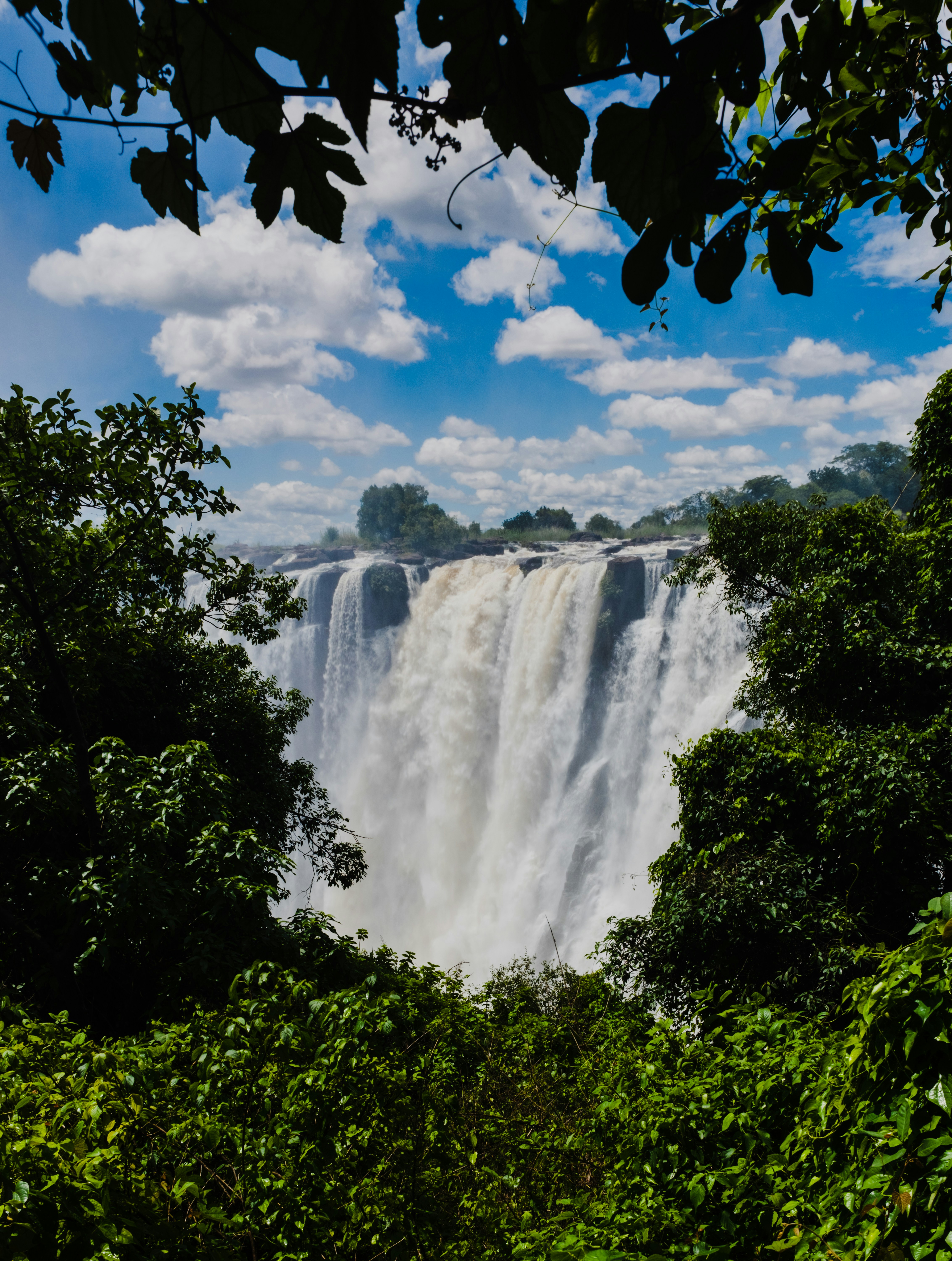 Cape Town to Victoria Falls Safari
